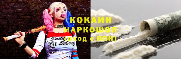 сатива Аркадак