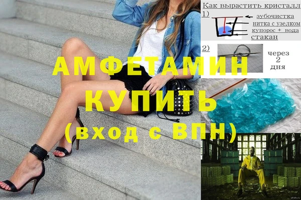 сатива Аркадак