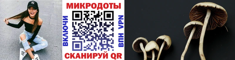 Псилоцибиновые грибы прущие грибы  KRAKEN зеркало  Щёлкино 