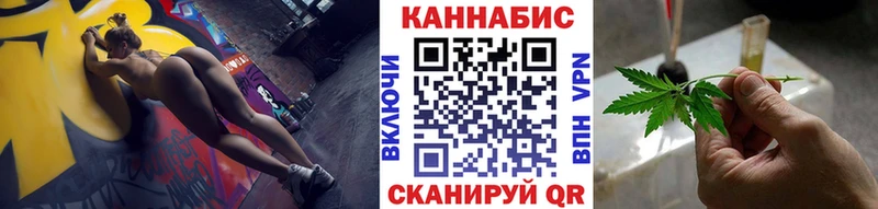 что такое Щёлкино Бошки Шишки план